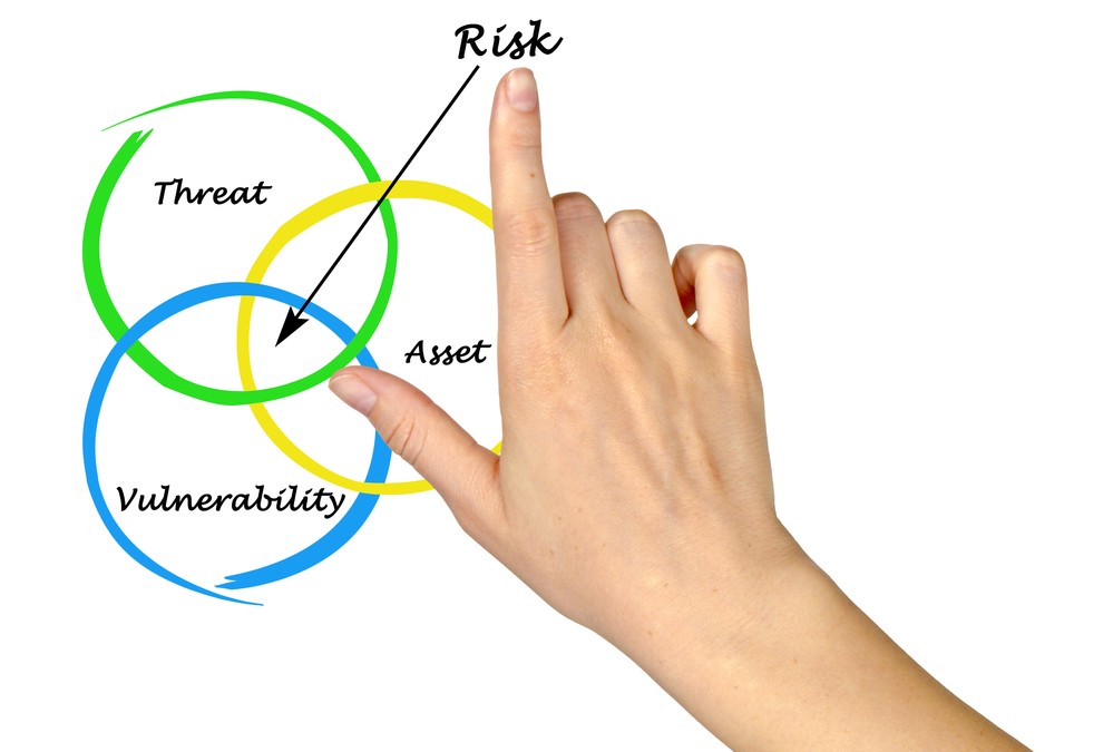 Assets, Risk, and Vulnerability